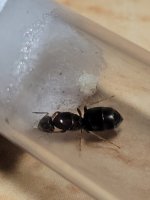 20250624_220405.jpg