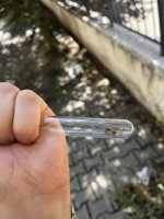 IMG_5020.jpeg
