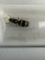 IMG_9717.jpeg