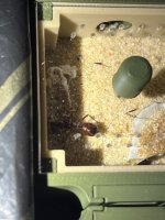 IMG_9196.jpeg