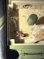 IMG_9195.jpeg