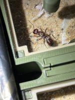 IMG_9193.jpeg