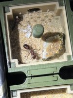 IMG_9183.jpeg
