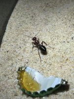 IMG_9192.jpeg