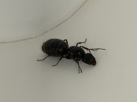 IMG_7208.jpeg