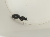 IMG_7215.jpeg
