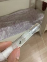 IMG_0380.jpeg