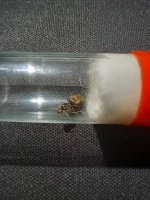 20250625_203034.jpg