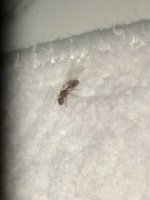 IMG_7377.jpeg