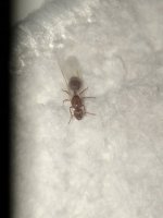IMG_7376.jpeg