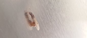 1000250200.jpg