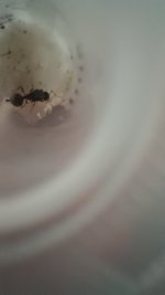 20250625_230133.jpg