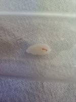 IMG_20250626_100535.jpg