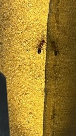 IMG_5816.jpeg
