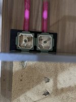IMG_9175.jpeg