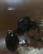 IMG_4724.jpeg