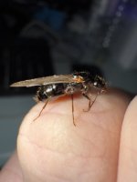 IMG_5304.jpeg
