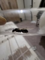 IMG_9848.jpeg