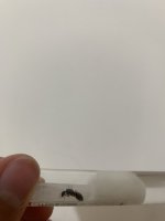 IMG_0394.jpeg