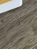 IMG_0804.jpeg