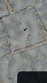 20250627_102640.jpg