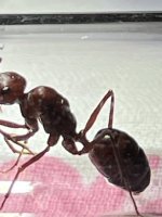 IMG_9227.jpeg