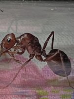 IMG_9228.jpeg