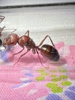 IMG_9224.jpeg