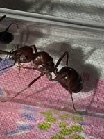 IMG_9226.jpeg