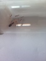 IMG_20250627_170129.jpg