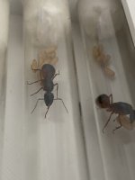 IMG_5270.jpeg