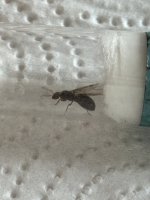 IMG_8550.jpeg