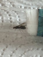 IMG_8547.jpeg