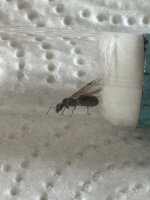 IMG_8554.jpeg