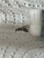 IMG_8553.jpeg