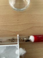 IMG_0797.jpeg