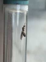 IMG_2147.jpeg