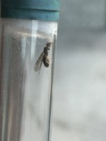 IMG_2148.jpeg