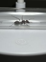 IMG_0049.jpeg