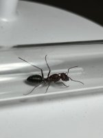 IMG_0050.jpeg