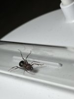 IMG_0051.jpeg