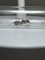 IMG_0052.jpeg