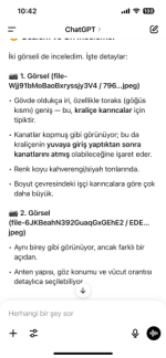 IMG_2149.png