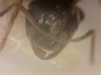 20250628-194434-145.jpg