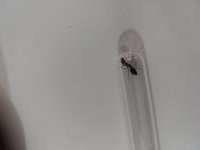 IMG_20250628_195932.jpg