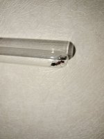 IMG_20250628_195955.jpg