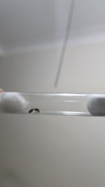 IMG-20250629-WA0008.jpeg