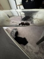 IMG_9874.jpeg
