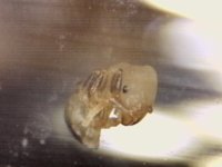 20250629-091422-206.jpg