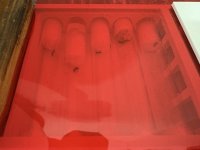 IMG_5555.jpeg